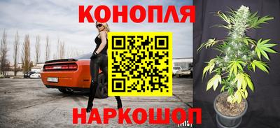 spice Гусев