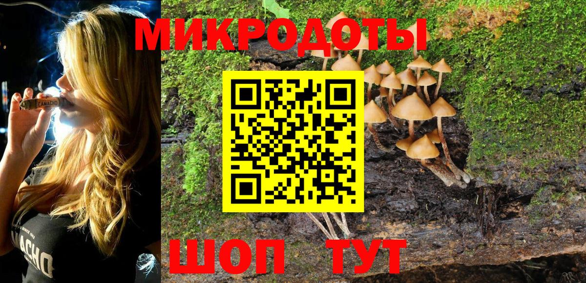 Псилоцибиновые грибы прущие грибы  закладка  Наро-Фоминск  Вход с VPN 