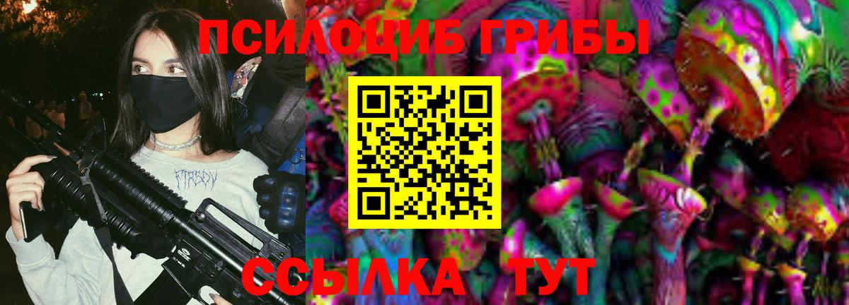 Галлюциногенные грибы Psilocybine cubensis Наро-Фоминск